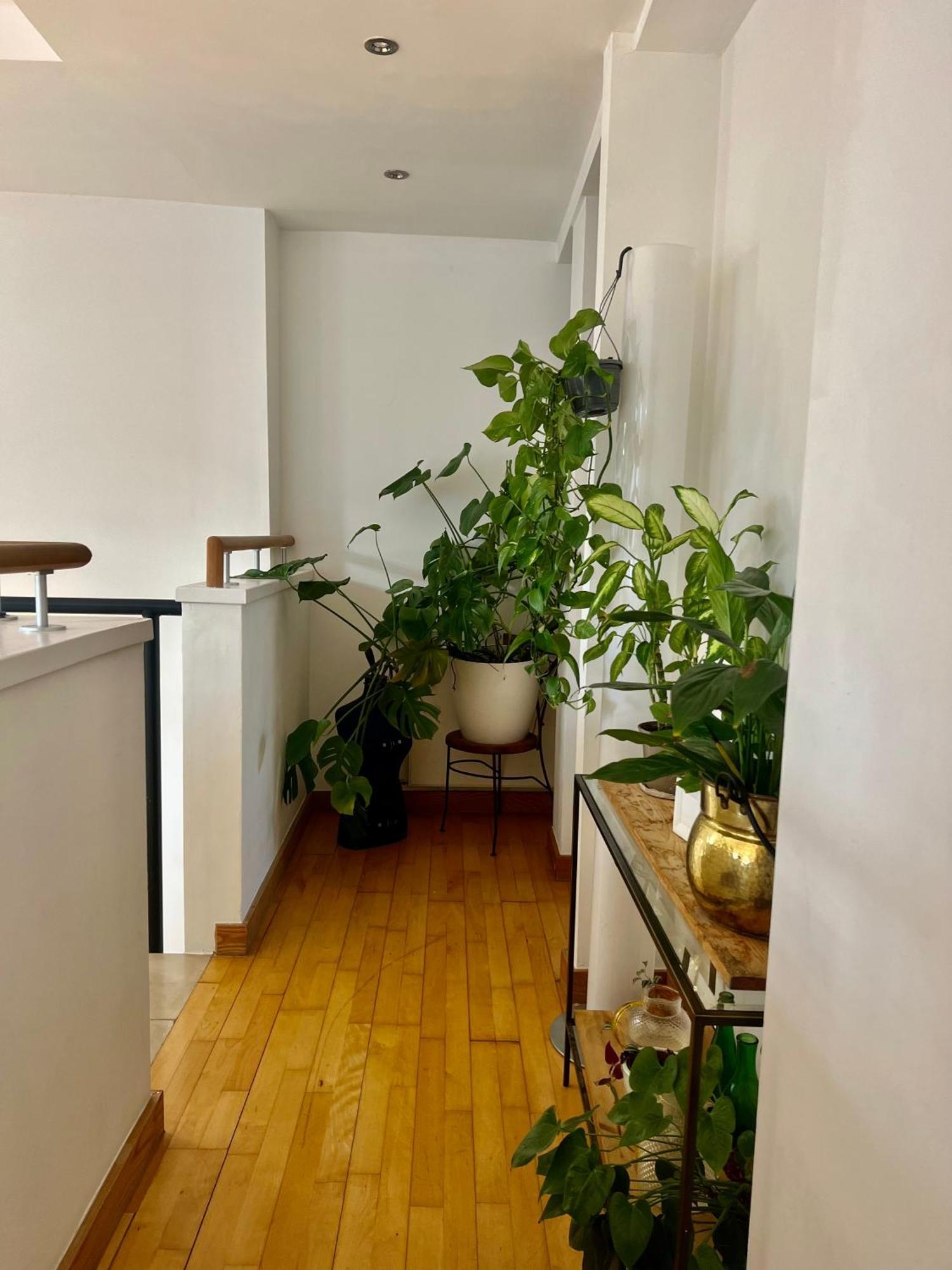Huge Room For Recharge And Relaxation In Loft With Sauna In Central London Exterior photo